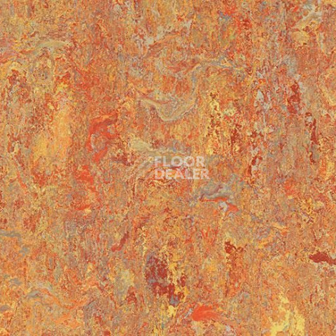 Линолеум Forbo Marmoleum Marbled Vivace 3403-340335 Asian tiger фото 1 | FLOORDEALER